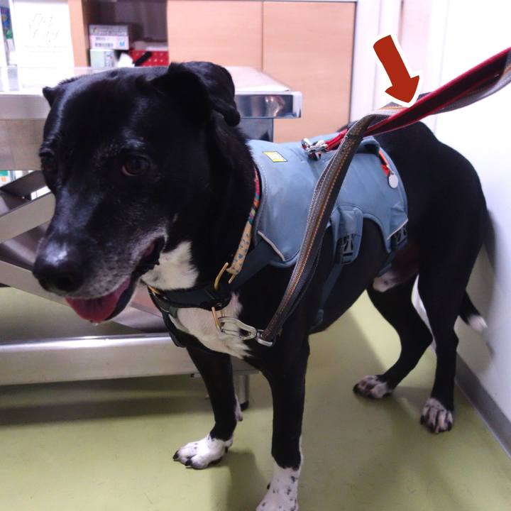 Bf9b46fb 60e4 429a a0ea fa7e8d089b1b 1733912050531