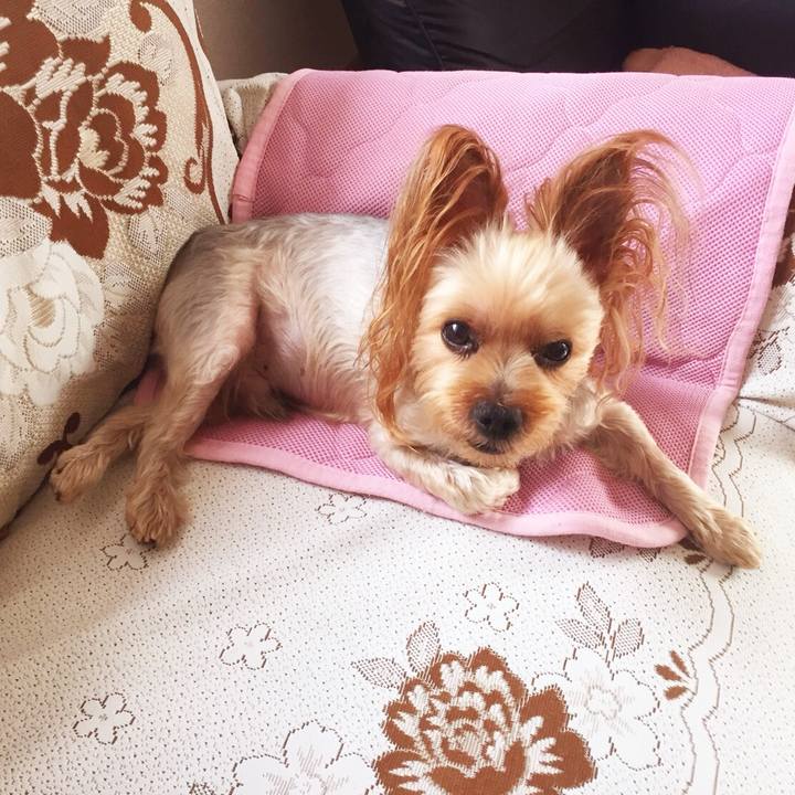 Bf9b6eb7 53f5 4af7 a9f4 ba5fb44ab53e 1536054067201