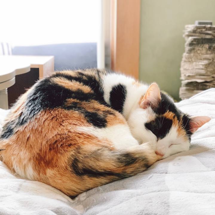 Bf9b700d e49a 4823 87d5 d6893998bf24 1555898631245