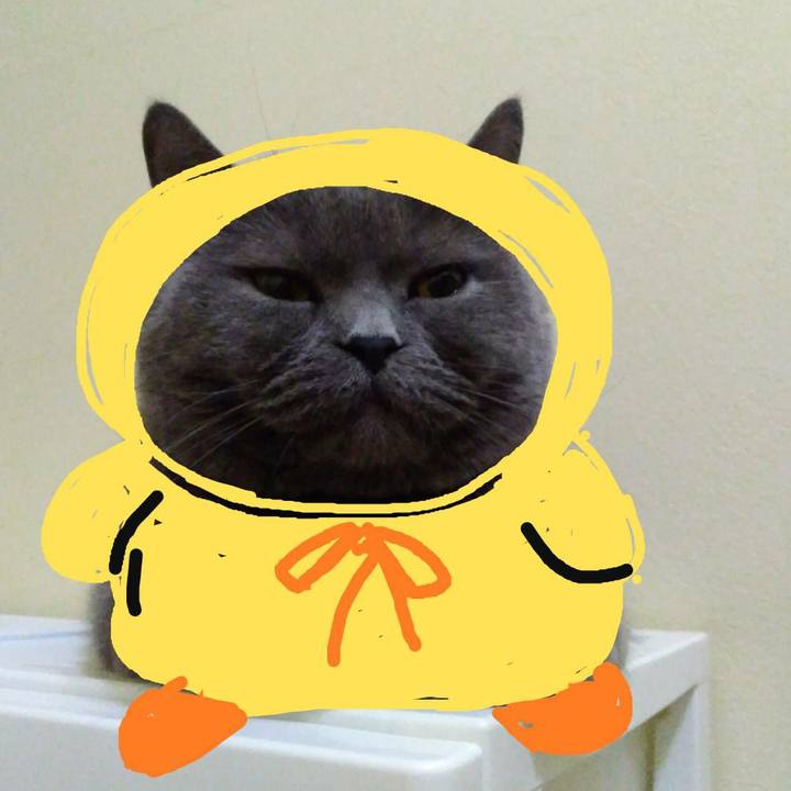 Bf9b7b41 ea7d 46d5 9937 5202437e41b0 1580893905824