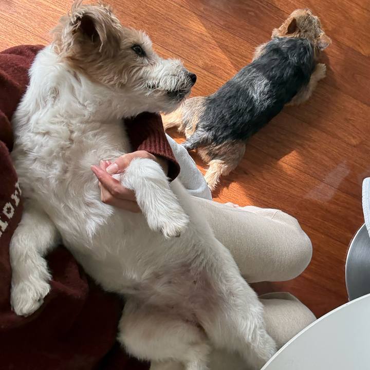 Bf9b8fa6 af51 42a1 8448 99a88804b1fc 1762312414163