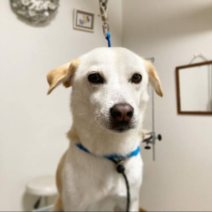 Bf9b9a65 fe77 4afb 8183 23f5f6713ebe 1630582793295