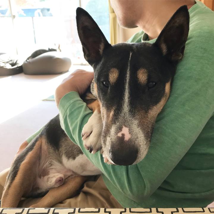 Bf9bbefa 43b7 4a94 a3fc 62672c00854e 1512277208307