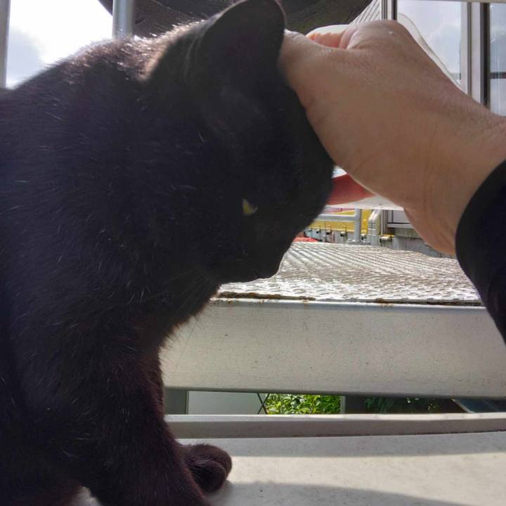 Bf9bf1d3 1cd5 4a0c bcc3 b26c4a6322ed 1718161056219