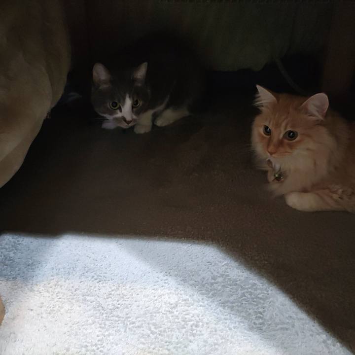 Bf9bf206 a73e 4d47 9166 bcf5de4e79e8 1706223413393