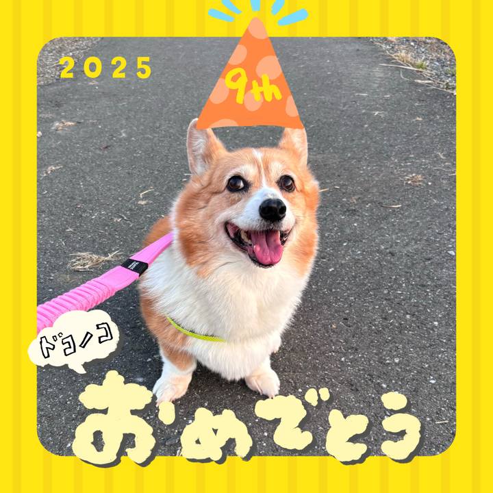 Bf9c05dc 9dc1 4538 ba88 39d186c377bd 1749124150337