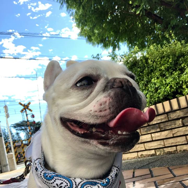 Bf9c0f6a f6c9 4b63 b686 872b00786910 1560655737344