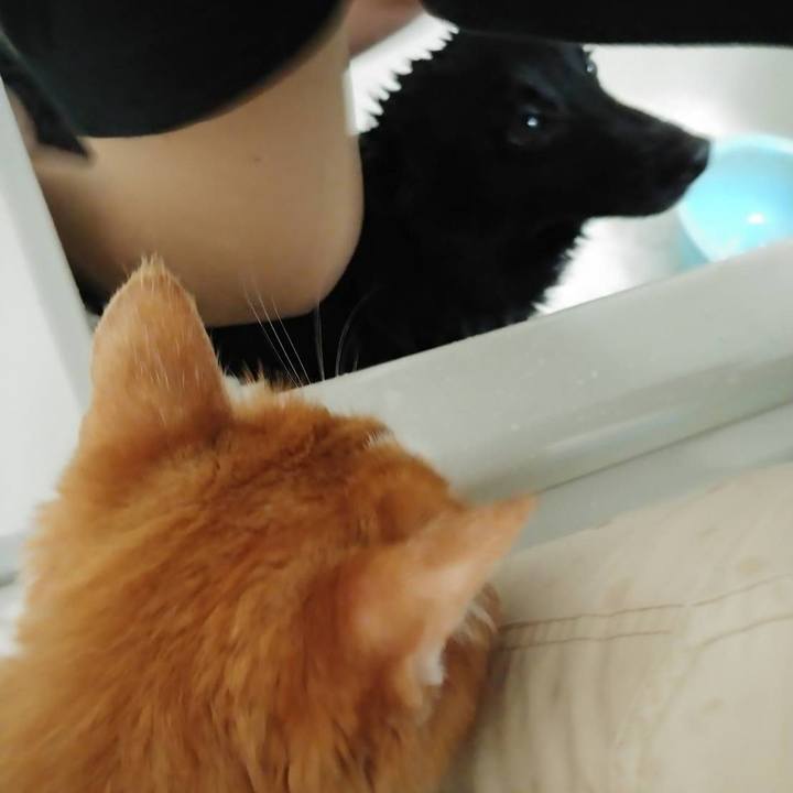 Bf9c1b74 d3c6 4cca 889b 3ee24c90fd9b 1593226397340