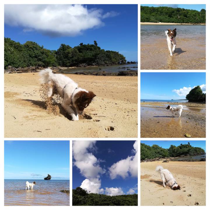 Bf9c3847 5745 448c 8ca3 33683ba200ee 1537494796770