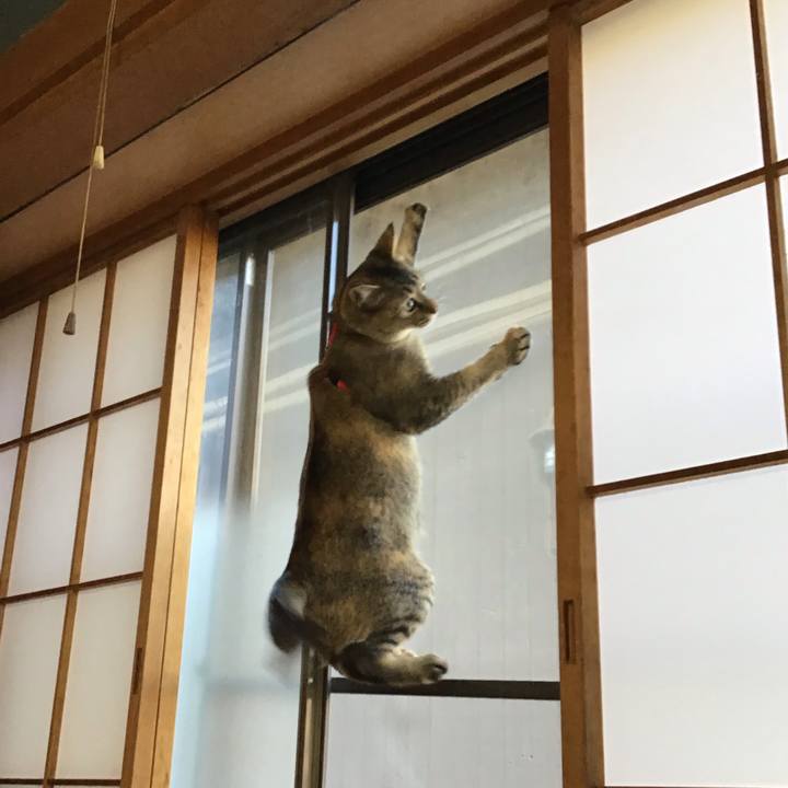 Bf9c6e03 34a3 45c0 a0b3 7790a6bcdfdc 1583492038462