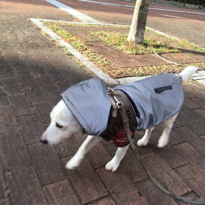 Bf9c7431 8735 4a67 a951 2e9862a2110f 1773096781761