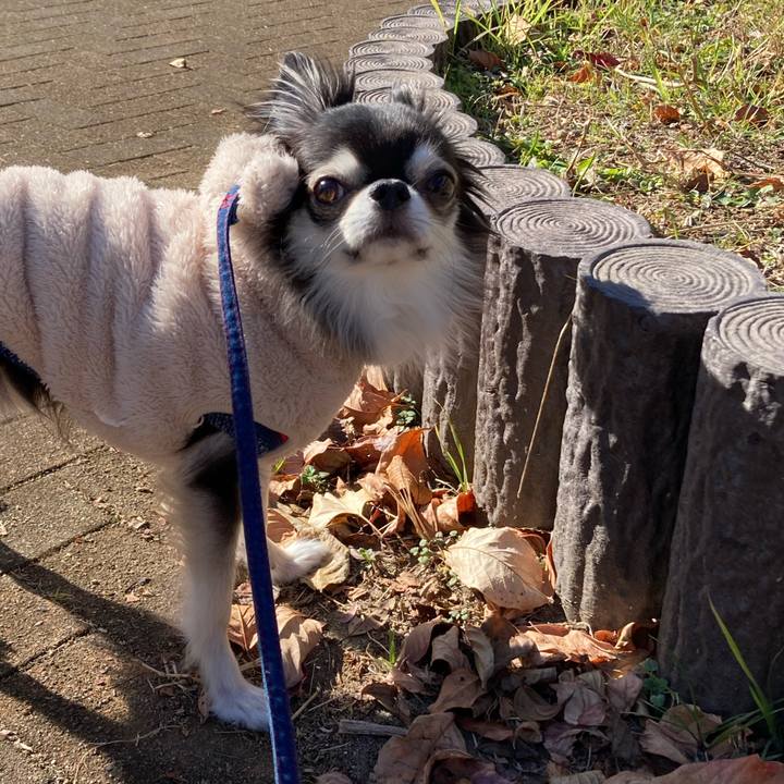 Bf9d1213 bc2c 4538 a0b3 bb9b20a0d7d2 1704353920280