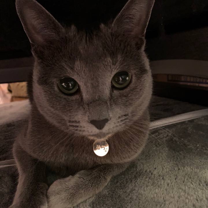 Bf9d17b0 5290 4017 80ad f450b8eaf0ca 1648740579655