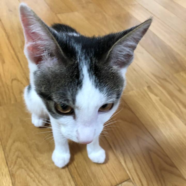 Bf9d2a2c 0095 4e3a a6ea 98b1fc048ac3 1567414370747