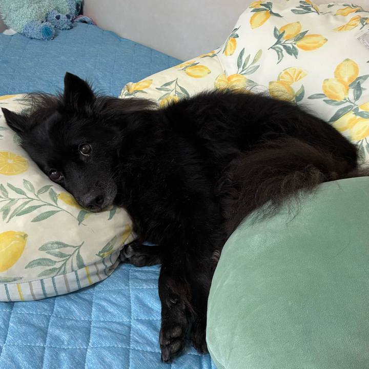 Bf9d5b2f cca5 4c45 a648 6f13c520595d 1757980311524