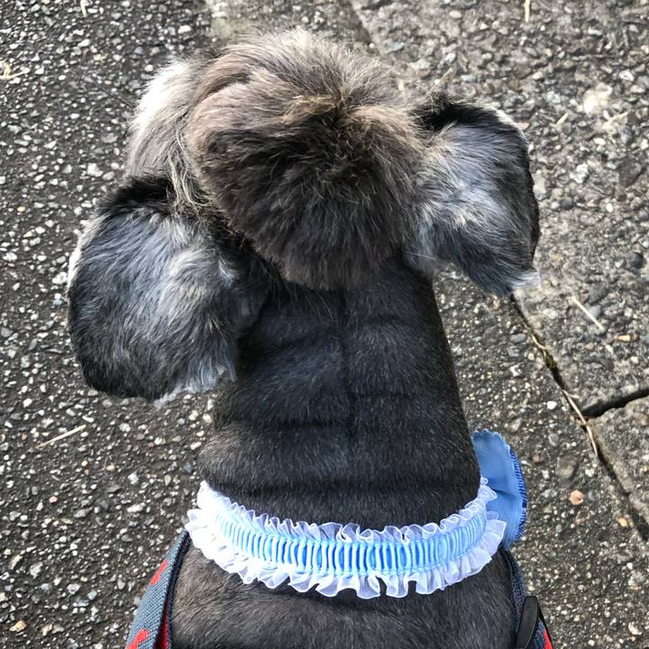 Bf9d83cd a2d9 4c9a a637 5742fc3828b3 1631178106845