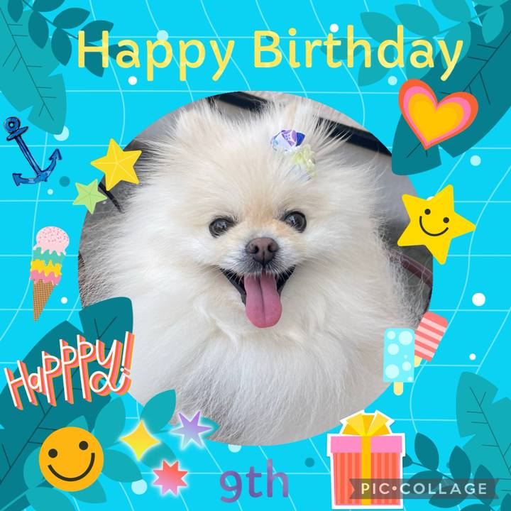 Bf9dc89a 9d36 4029 98db 5ace33252dd8 1723240128191