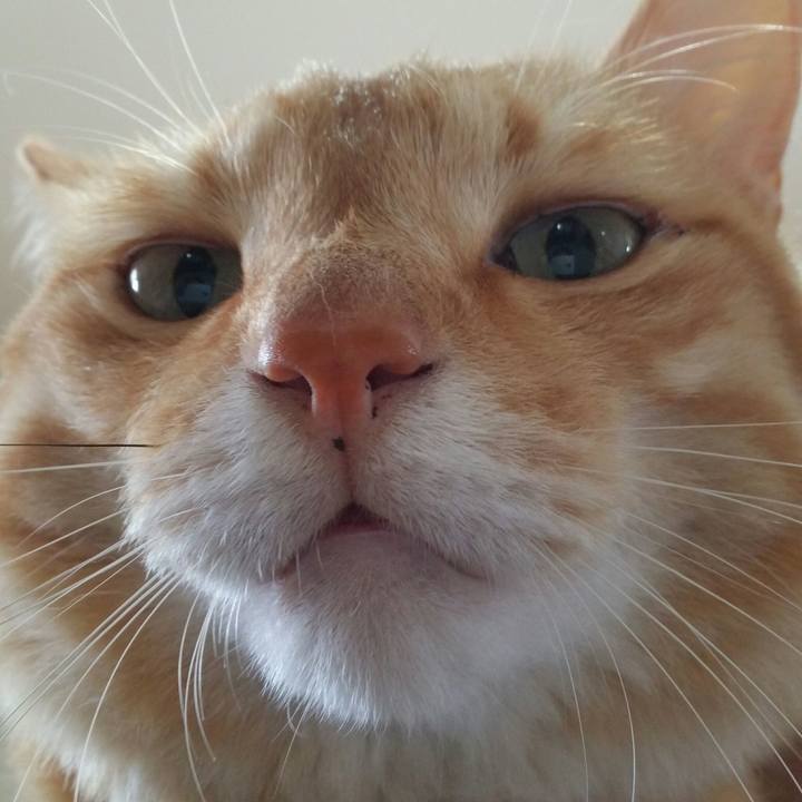 Bf9dd9b0 1025 4ea6 aa6d 2daebbc62694 1563189767462