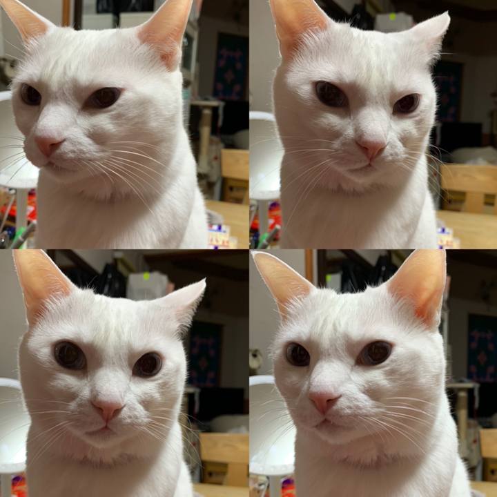 Bf9de1dd e21c 4bd9 9528 aa295af0d27c 1614264369749