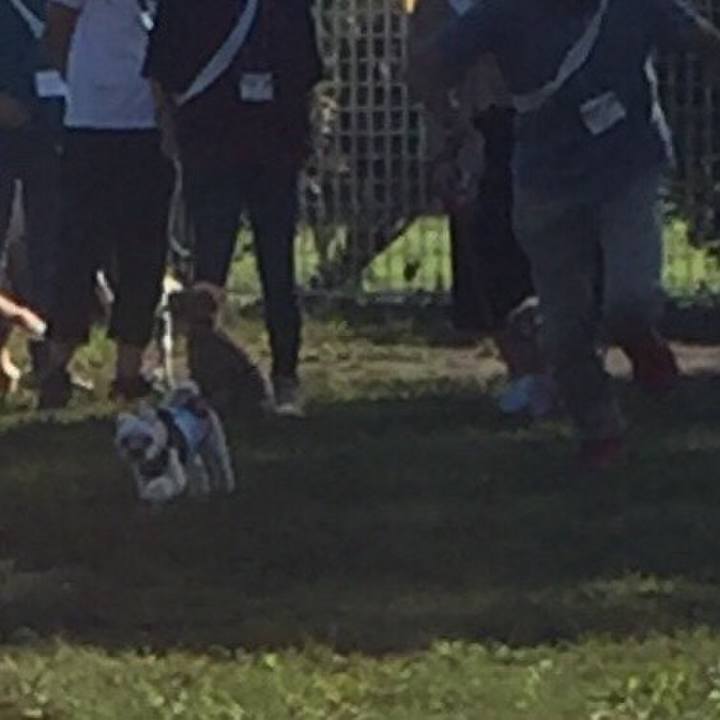 Bf9e2024 6a12 472b b81f a78c98fc1aa5 1538816114486