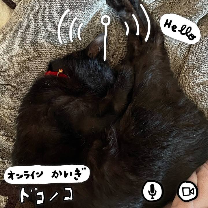 Bf9e20f4 a057 4e19 b79d 31b25b1611ab 1591853613563