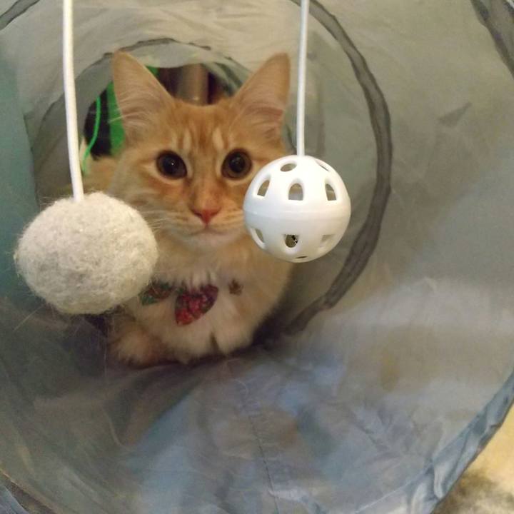 Bf9e4054 fe64 41c9 83f1 c954289f850d 1642941462100