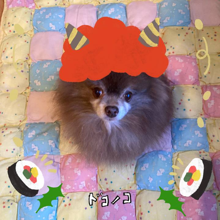 Bf9e40ad 64e7 4325 84ea a9c0de28062f 1706824840568