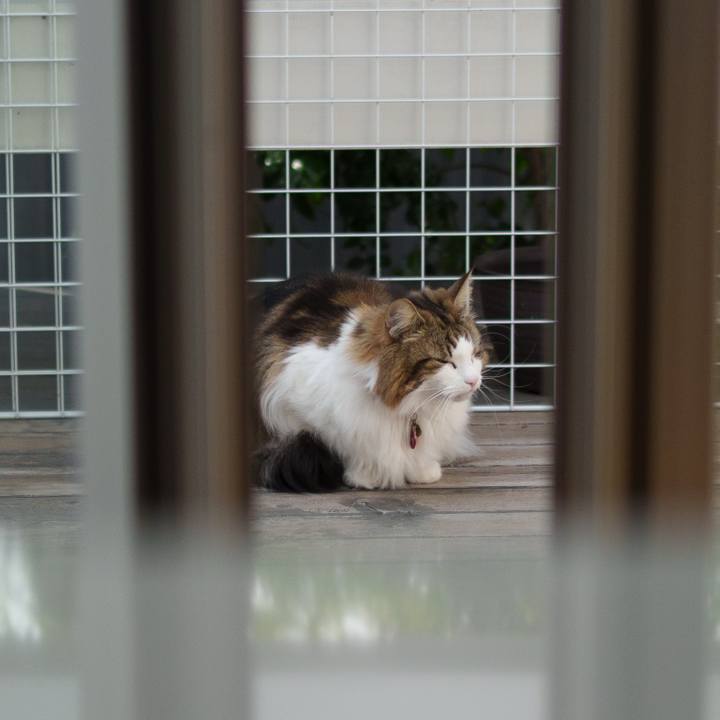 Bf9f47c6 f139 450d bd83 5f989fcd7b8e 1741851594845