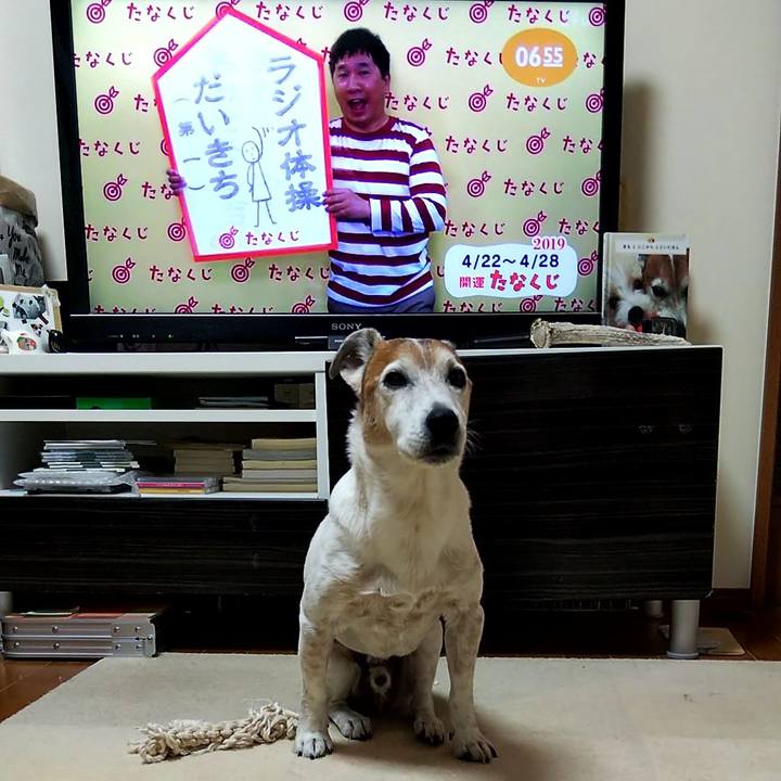 Bf9f4dfe dcd7 45d5 a468 9a0c41f448a1 1555885560172