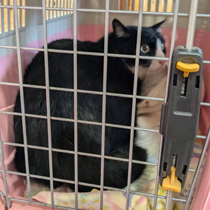 Bf9fbe13 63d0 4516 a960 8b0f4c498471 1758270825117