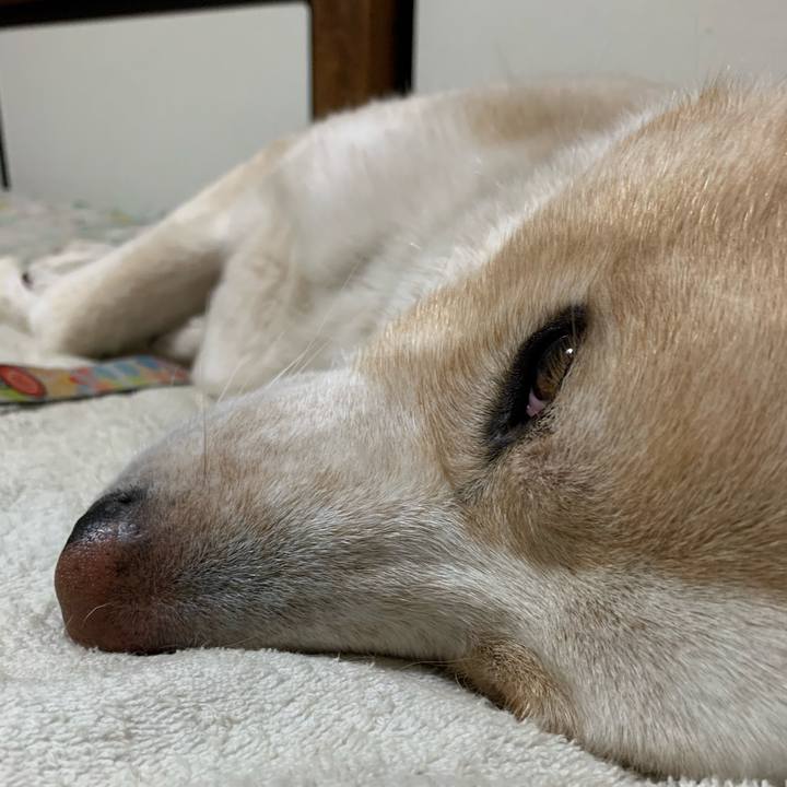 Bf9fd23a 4550 4f42 a1fe d5e96d23bfa4 1572790435724