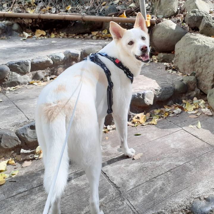 Bf9fdb21 2845 4500 a9c0 4d8396a76925 1638463055417