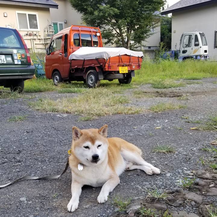 Bfa033ee cca7 4aa0 b0f9 4f68b958a62d 1631172290814