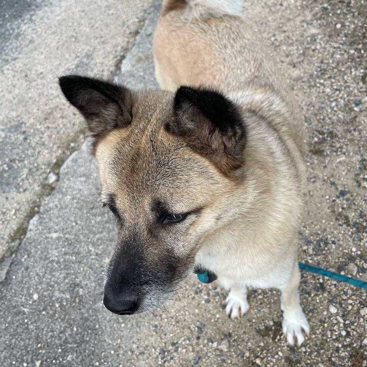 Bfa03ba6 4a6d 4862 b6ad 728fabb0d14f 1696249396992