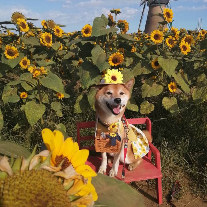 Bfa03c31 d3c3 4c9b 9204 b48566d35ab3 1689865857557