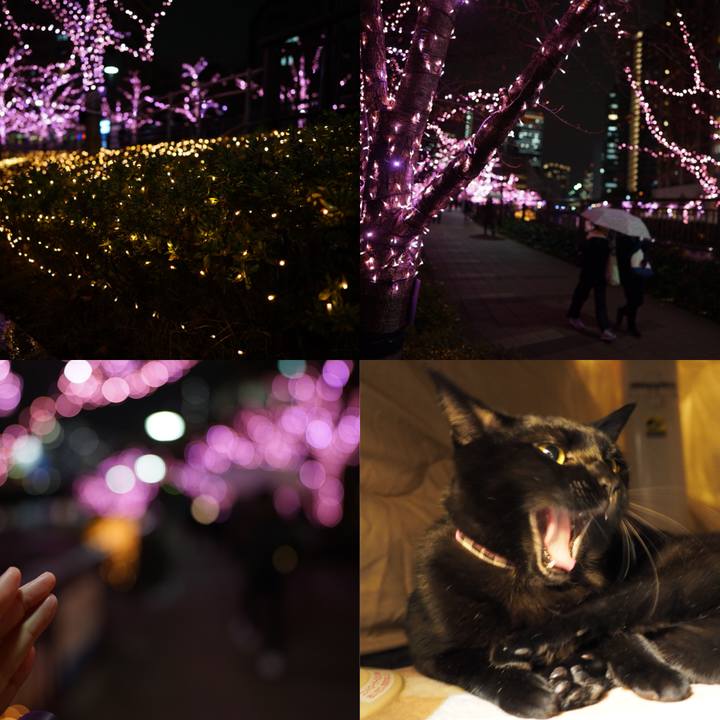 Bfa050dd 46f3 4179 8ea0 bd7e9beadf14 1544532911531