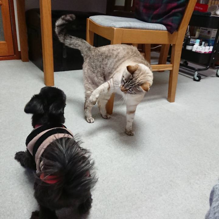 Bfa05798 c55c 4514 b8ba e0970b0a493f 1519293764033