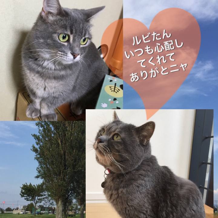 Bfa09058 b2dd 439b b981 17557b5de531 1538916681272