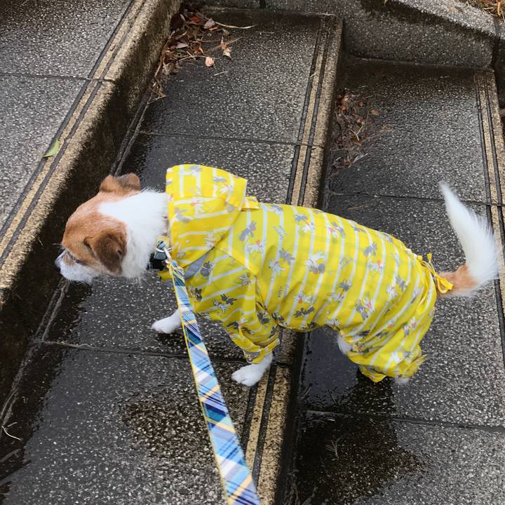 Bfa0a721 e79f 4dae b086 bc67efa8236c 1580186418448