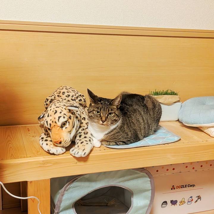 Bfa0ca95 d9b8 4b50 90ac b9ff84ac0e20 1756652094753