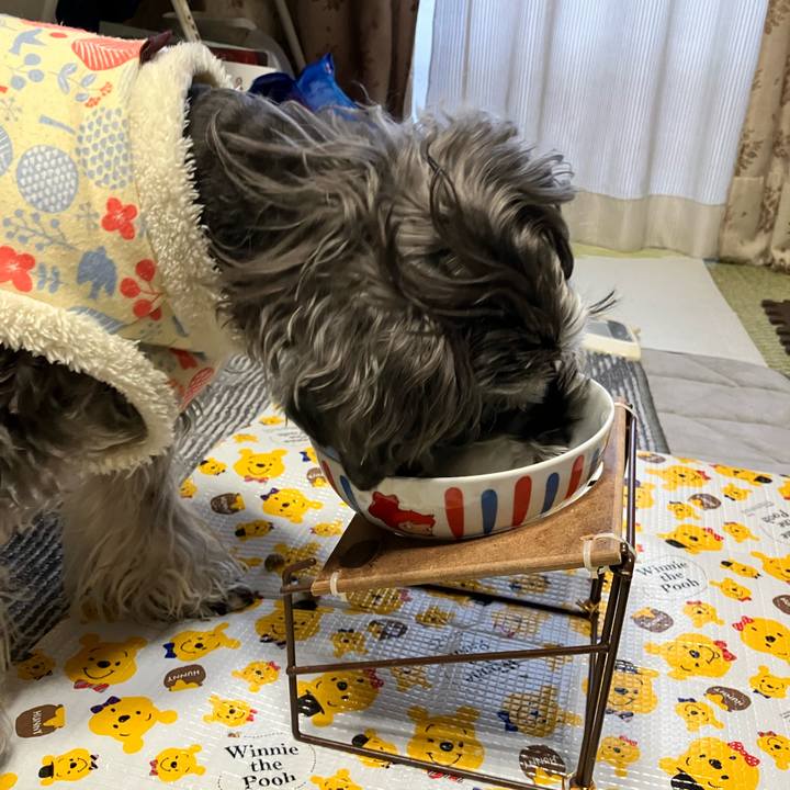 Bfa10379 db90 4885 adfc 0489baba5cf3 1773443669133