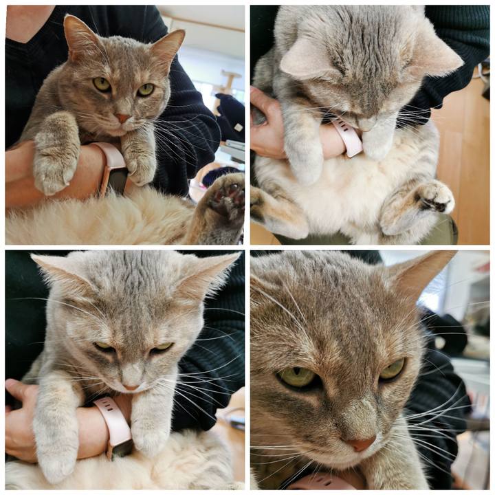 Bfa119af 5397 49fb 83d8 14f27331909a 1625827584561