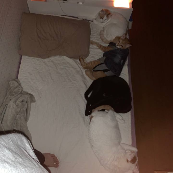 Bfa11a49 28f5 4fa5 8917 0634c482e6b9 1648850113312