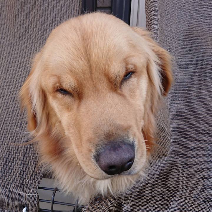 Bfa1671b 3771 4853 b462 151e19c63d98 1518498181357