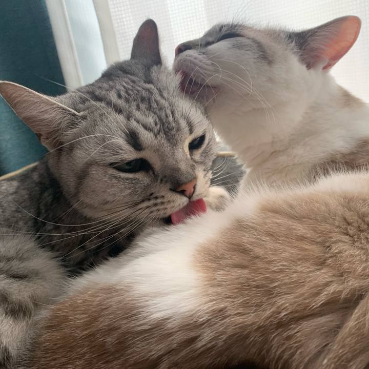 Bfa17308 1d26 4970 89c5 3450de509039 1648010830521