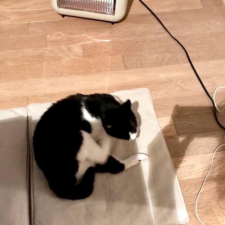 Bfa1a089 8d40 47db aba6 163a6a158d3b 1524713762766