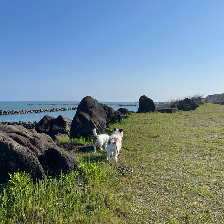 Bfa1ab27 a585 417c 9bcc 18ccd440d48b 1746226666148