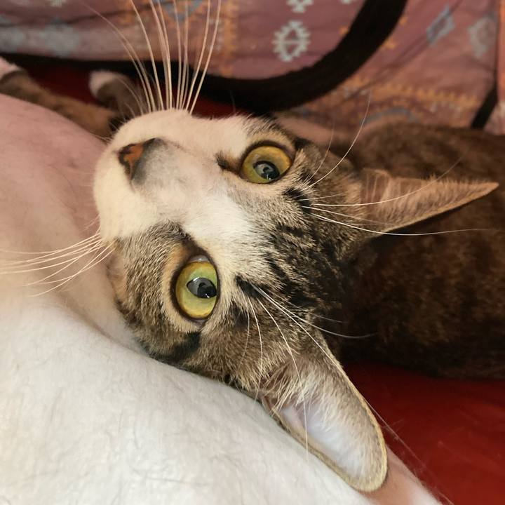 Bfa1f1c5 7ca9 4e6f b72d ea219fadee7c 1723249622418