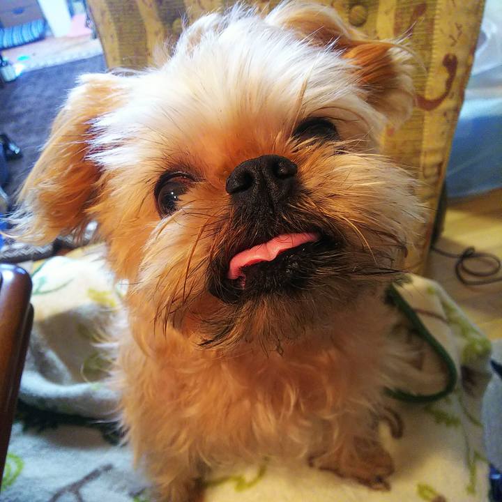 Bfa1f829 7bba 4b4a 9587 d74efa6052a4 1585787563556