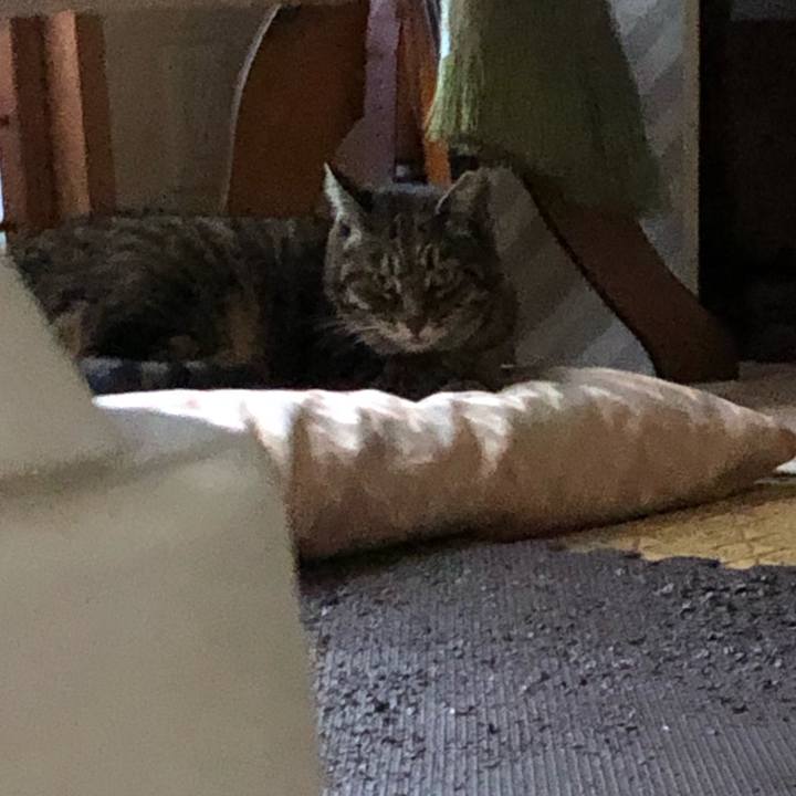 Bfa20531 e4fe 4ad4 9dbf 0dbab6737bfa 1584611771718